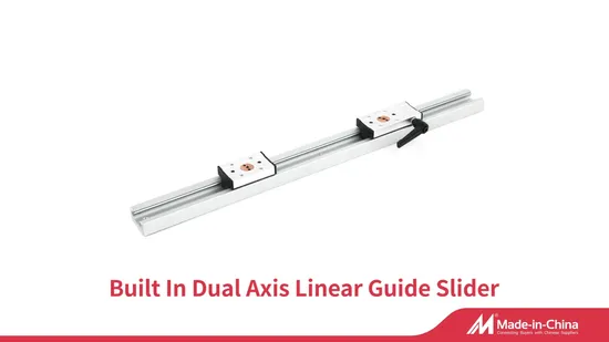 CNC Built-in Double Axis Aluminum Linear Guide Sgr10 Sgr15 Sgr20 Sgr25 Locking Slide Block Dual Shaft Roller Wheel Guide Rail with Sgb 3/4/5 Wheels Block